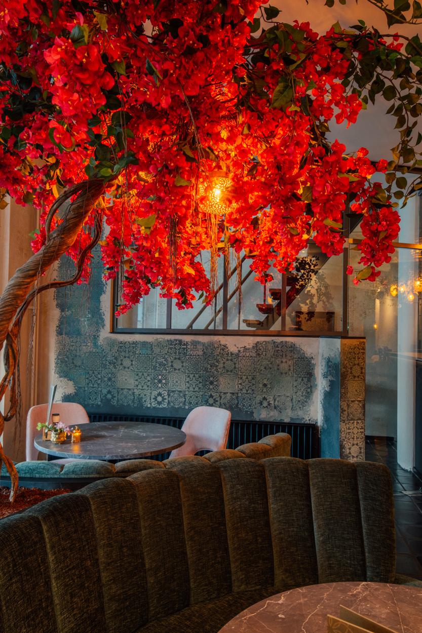 WhatsApp Image 2026-03-08 at 11.15.07